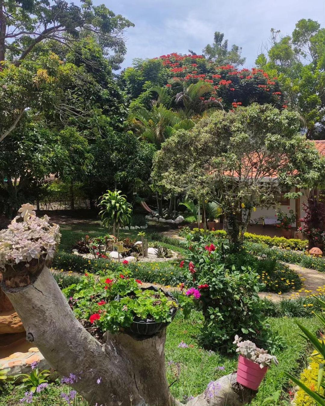 לוס סאנטוס Hotel Boutique Santa Clara Mesa De Los Santos מראה חיצוני תמונה